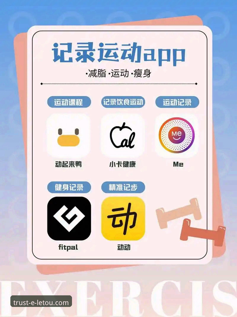乐投体育平台App功能全面评测：从下载到精通，新手一站式指南